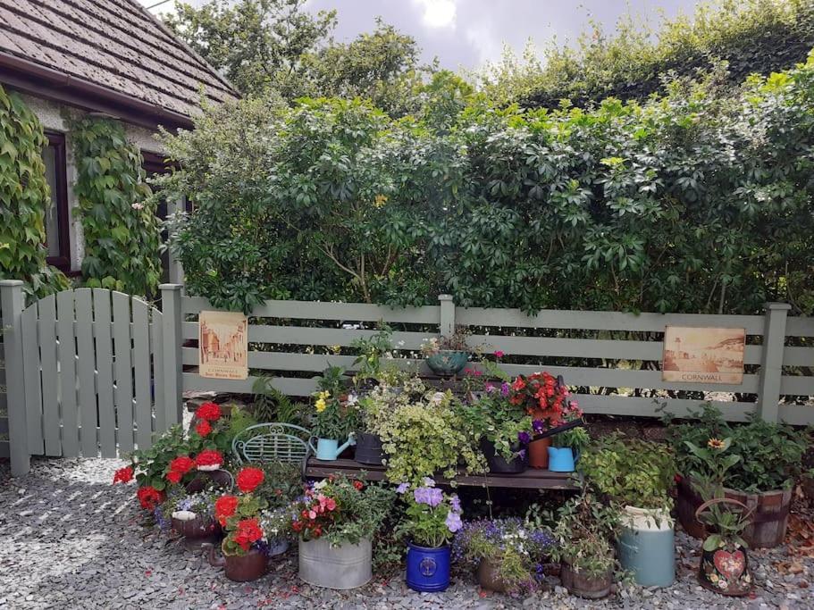 Oakey Orchard - Cosy Apartment In Tamar Valley, Cornwall Saint Dominick Exterior photo